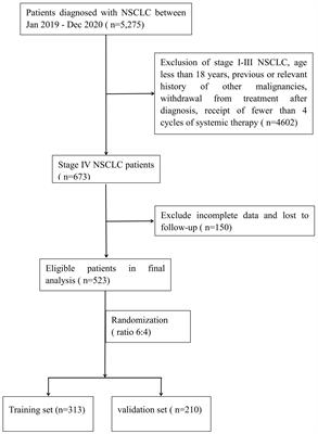 Development and validation of a survival prediction model for patients with advanced non-small cell lung cancer based on LASSO regression